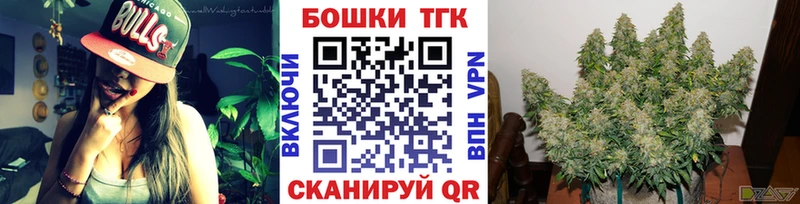 Бошки марихуана гибрид  Олонец 